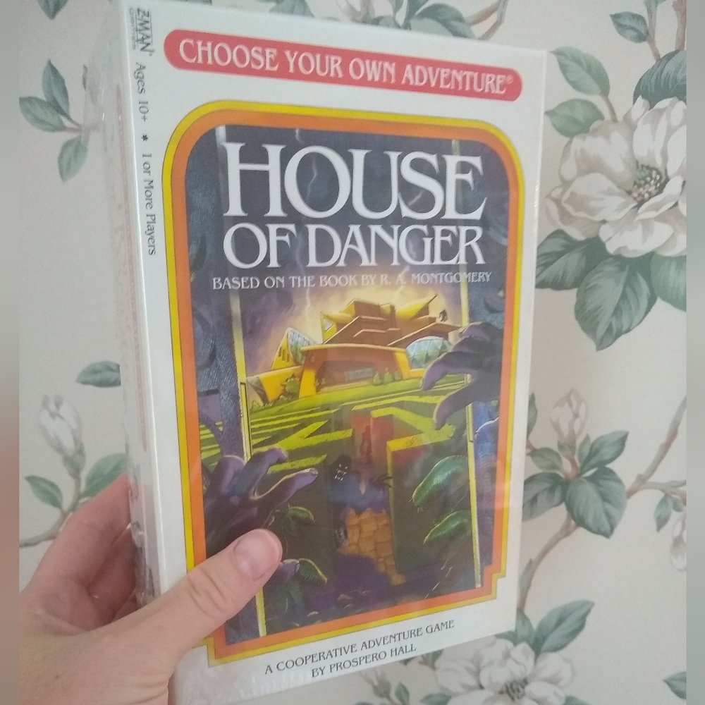 Choose Your Own Adventure Game